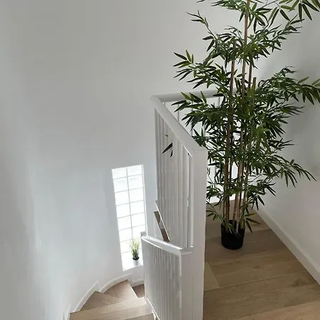 Casa Seta - 3 Bedrooms Townhouse Private Pool Costa - Playa Flamenca Semesterbostad